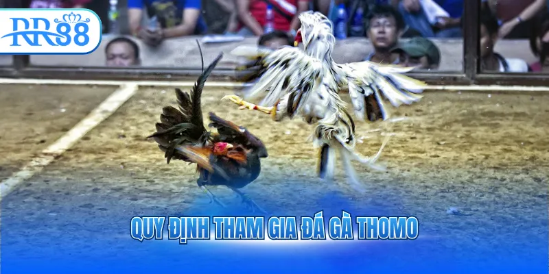 Quy định tham gia đá gà thomo