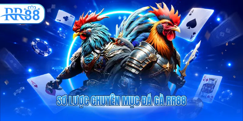 Sơ lược chuyên mục đá gà RR88